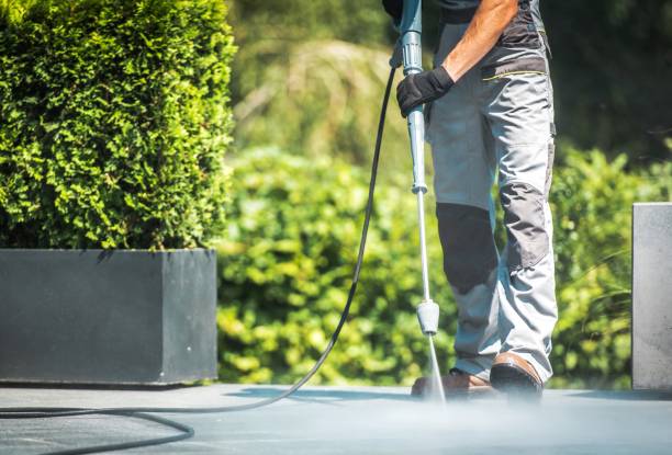 Best Animal Enclosure Cleaning  in Vista, CA