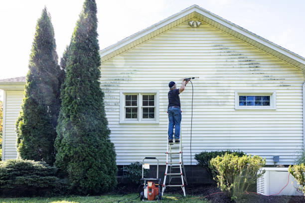 Best Building Exterior Washing  in Vista, CA